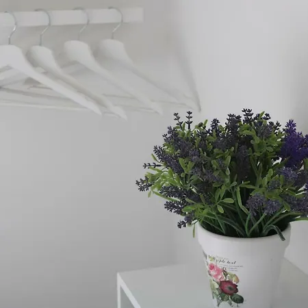 Sand & Sea Apartment