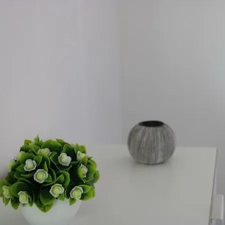 Sand & Sea Apartment Nazare